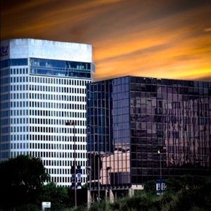 Meet your Posher, Carter